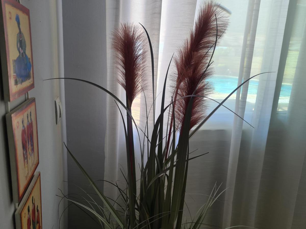 Apartamento El Remo Torremolinos Esterno foto